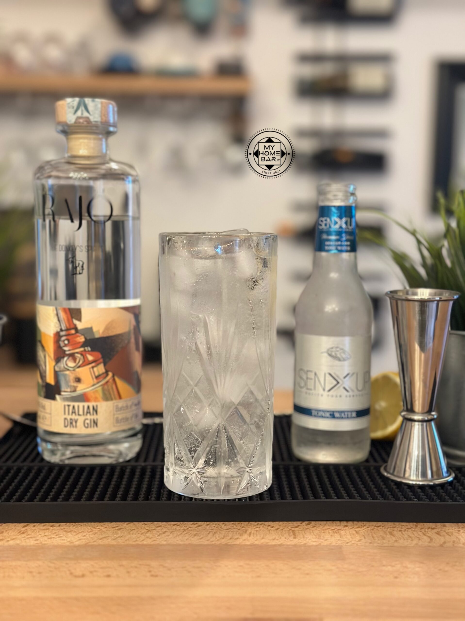 Rajo gin myhomebar fridaygin